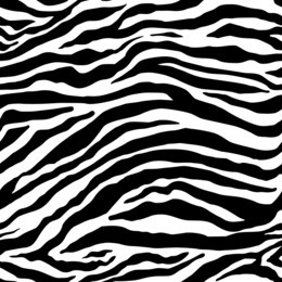 zebra pattern. black and white seamless background