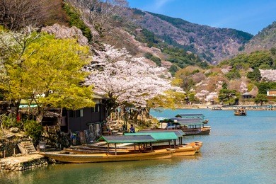 the beautiful forest in arashiyama prefecture in kyoto, japan