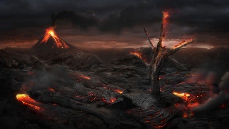 fire tree in the volcanic landscape