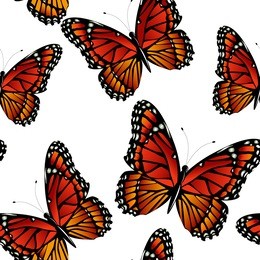 seamless pattern with bright colorful  monarch butterflies. vector illustration