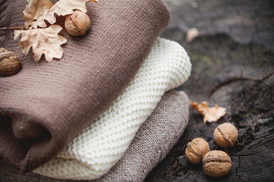 autumn composition on an old dry tree stump in the autumn forest