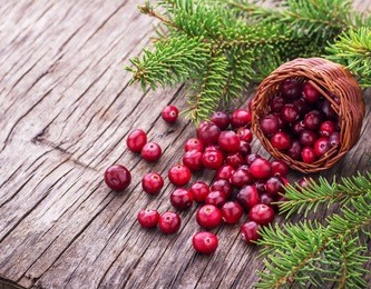 basket with ripe fresh forest cranberries on the texture wooden background. selective focus