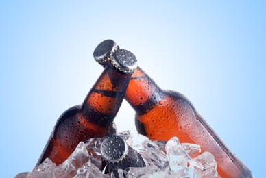 brown bottles of beer chilling on ice