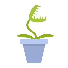 venus flytrap in a pot, style flat, decorative element at home