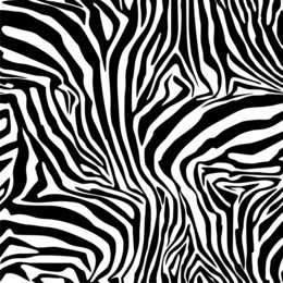 zebra stripes . background. a seamless pattern. vector.