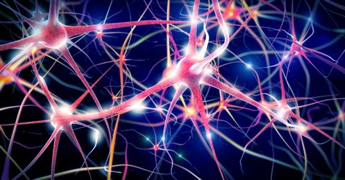 illustration of a nerve cell