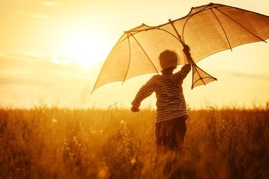 boy flying a kite in a field at sunset