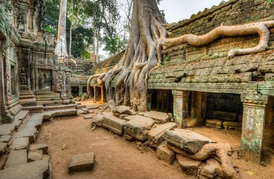 ta prohm, cambodia