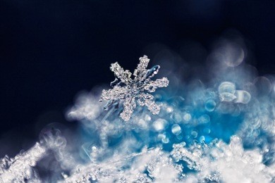 real snowflake macro - ultra shallow depth of field