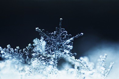 real snowflake macro - ultra shallow depth of field