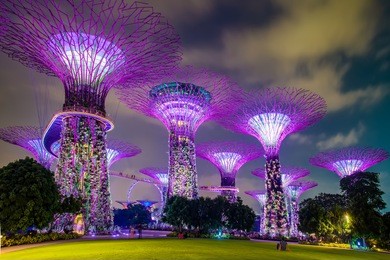 supertree garden at night, garden by the bay, singapore