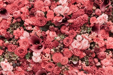 abstract background of flowers close-up.