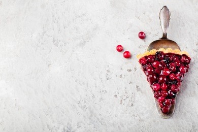 tart , pie , cake with jellied fresh cranberries, bilberries and winter spices on a grey stone background. copy space. top view.