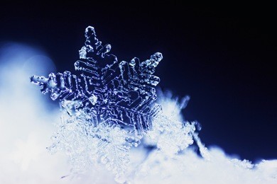 real snowflake macro - ultra shallow depth of field
