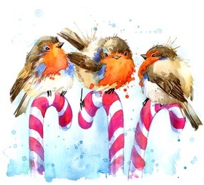 bird illustration. winter bird and christmas candy watercolor background. bird robin  t-shirt graphics, bird robin illustration with splash watercolor textured background. 