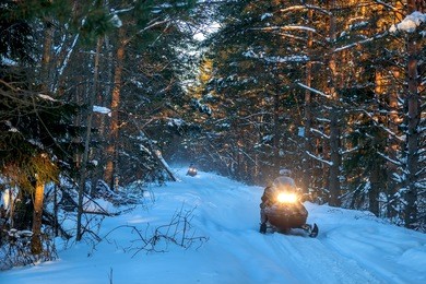 snowmobiles travel on a winter forest road far from civilization.