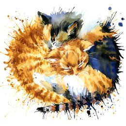 cute kitten t-shirt graphics. cat illustration with splash watercolor textured background. art illustration watercolor cat fashion print, poster for textiles, fashion design