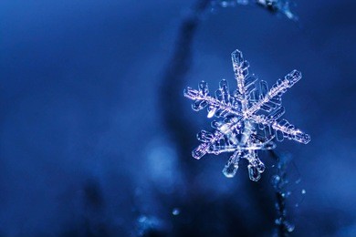 real snowflake macro - ultra shallow depth of field