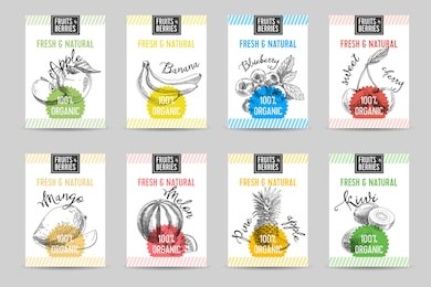 vector hand drawn sketch fruits banners set. eco foods.vector illustration. apple, banana, blueberry, cherry, mango, melon, pineapple, kiwi.