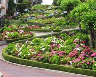 lombard street at san francisco