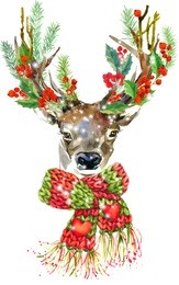 reindeer. christmas reindeer. winter holidays background. illustration christmas tree. mistletoe branch. holly berry. snowflake. christmas card