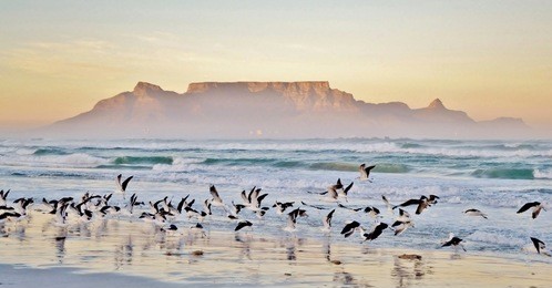 landscape with beach and table mountain at sunrise