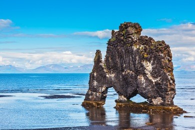 ancient extinct volcano hvitserkur on the sea shelf. stone "mammoth" iceland