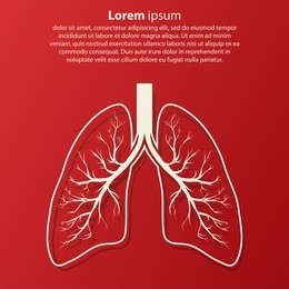 human lung anatomy illustration with sample text. illness respiratory cancer graphics. vector