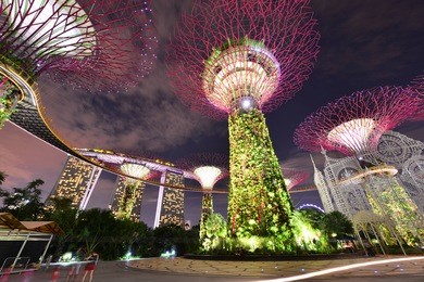 the supertree at gardens by the bay,singapore
