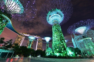 the supertree at gardens by the bay,singapore
