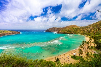 enjoying paradise in hawaii at hanauma bay
