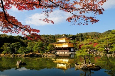 fall foliage at kinkaku-ji temple in kyoto, japan. kinkaku-ji literally means temple of the golden pavilion.