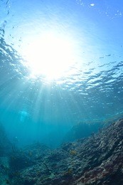 rays of sunlight shining into sea, underwater view