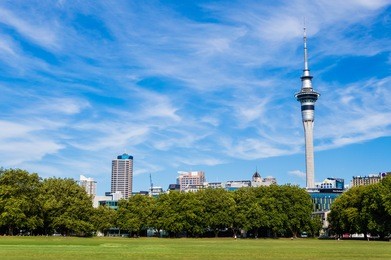 auckland sky tower view from victoria arena