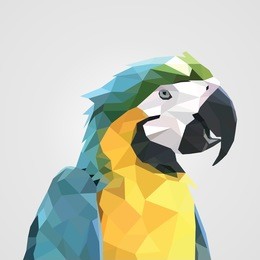abstract colorful low polygon macaw parrot head. vector illustration.