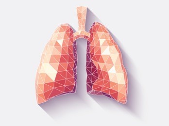 vector illustration of human lungs with faceted low-poly geometry effect