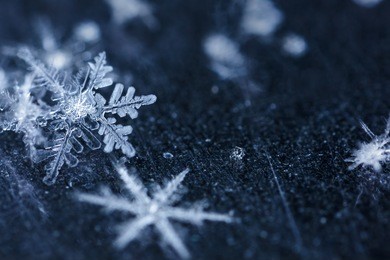 snowflakes lie on the ice surface