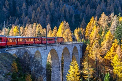 the sightseeing train bernina express of rhaetian railway running on the viaduct with view of colorful trees on a sunny autumn day, canton of grisons, switzerland