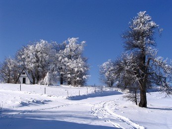 winter idyll