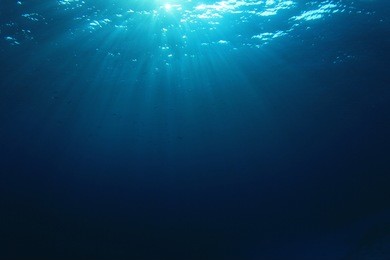 underwater blue background in sea