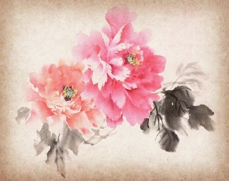 peony flower,traditional chinese ink and wash painting.