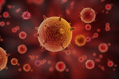 bacteria, virus, cell