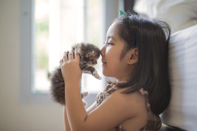 adorable little asian girl kissing her kitten