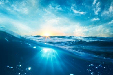 design template with underwater part and sunset skylight splitted by waterline 