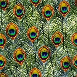 seamless texture pattern with peacock feathers. vector, eps10
