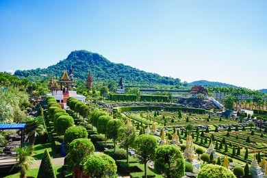 nice landscape from nong nooch tropical botanical garden