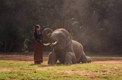woman in asian tradition dress at elephant village of lays light in thailand.
