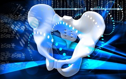 digital illustration of pelvic girdle in colour background