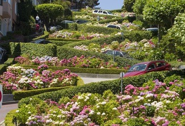 lombard street in the crookedest street in the world, san francisco
