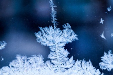 ice flowers on glass - texture and background